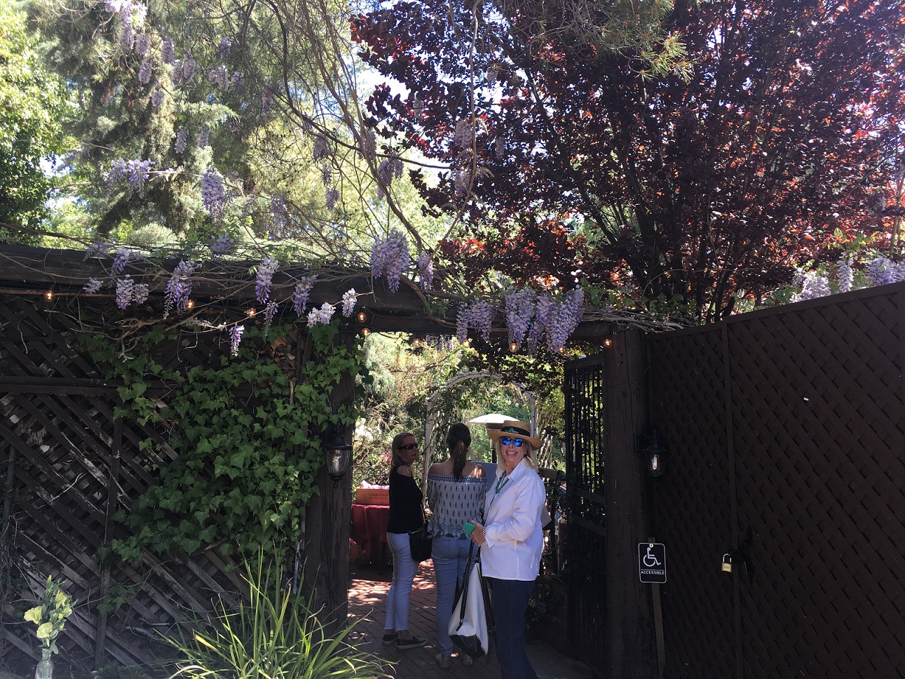 Entry Covered with Whisteria