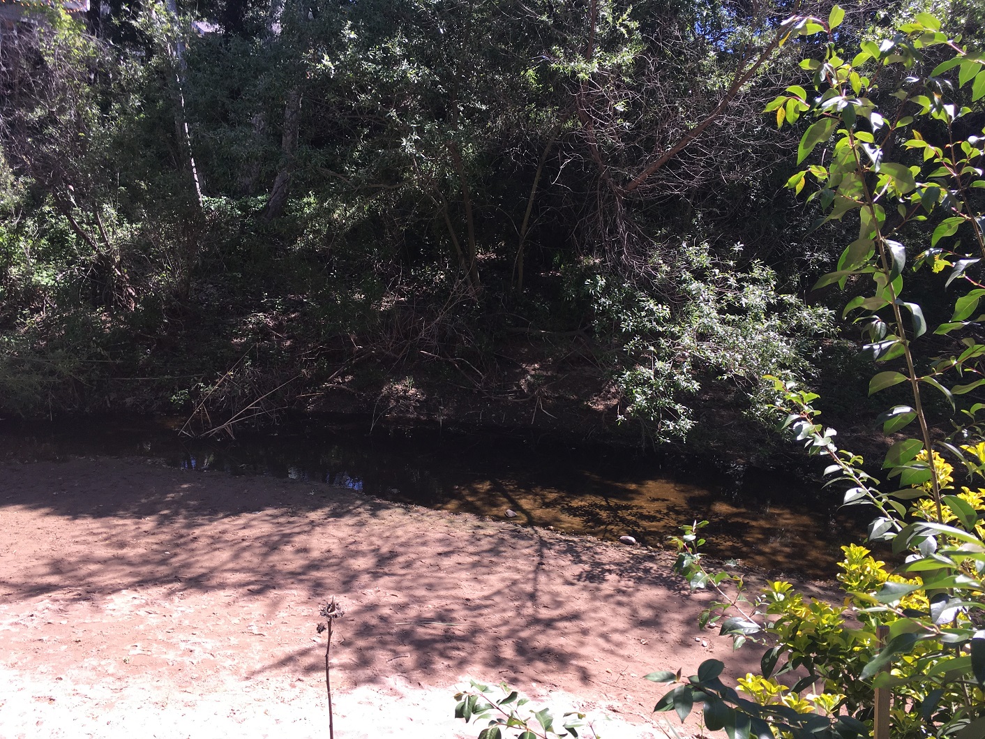 View of the Creek from our Table