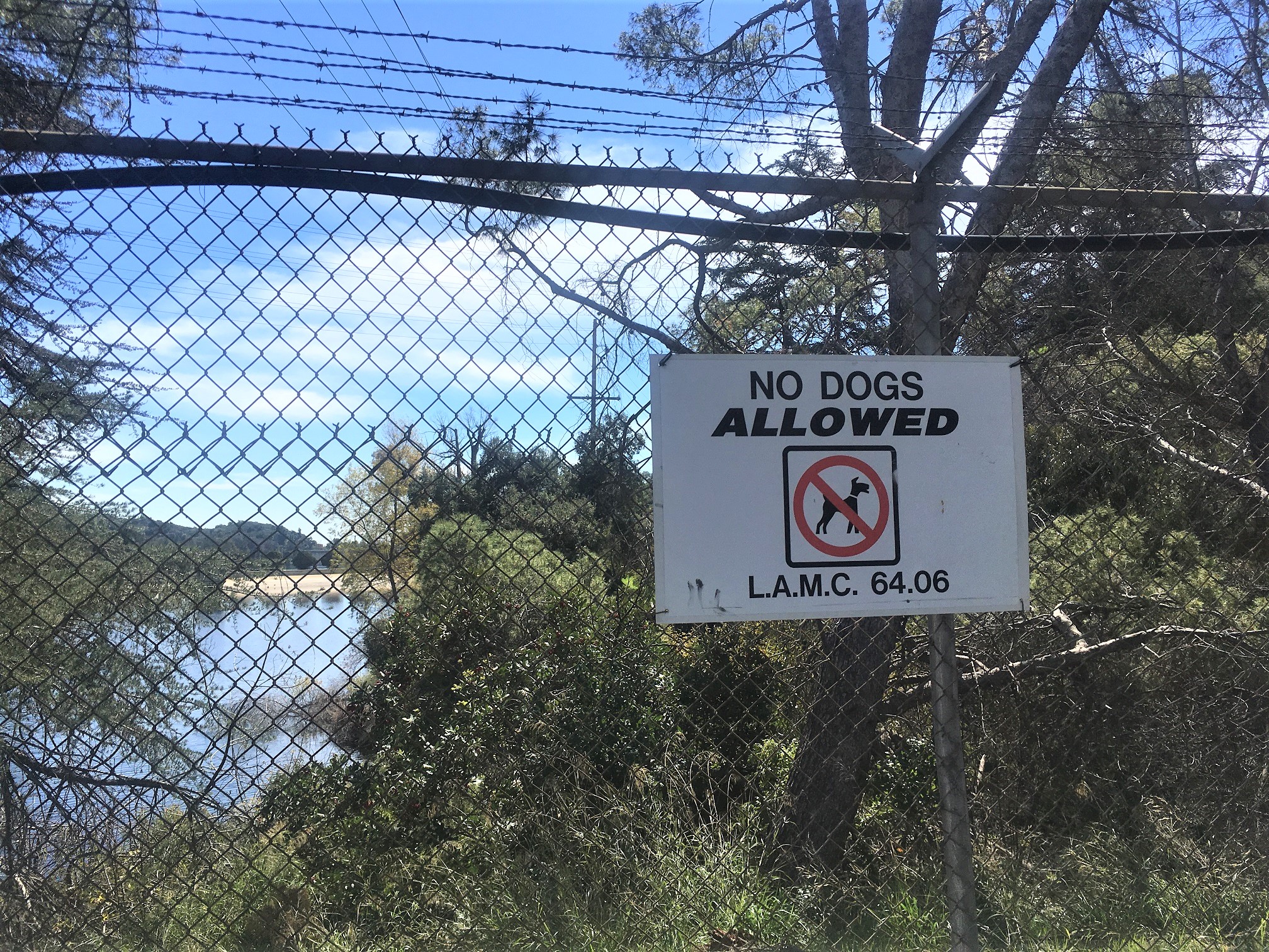 Lake Hollywood - No Dogs Allowed